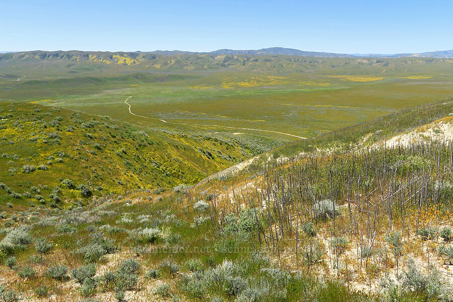 Elkhorn Plain & Elkhorn Hills [Temblor Ridge Road, Carrizo Plain National Monument, San Luis Obispo County, California]