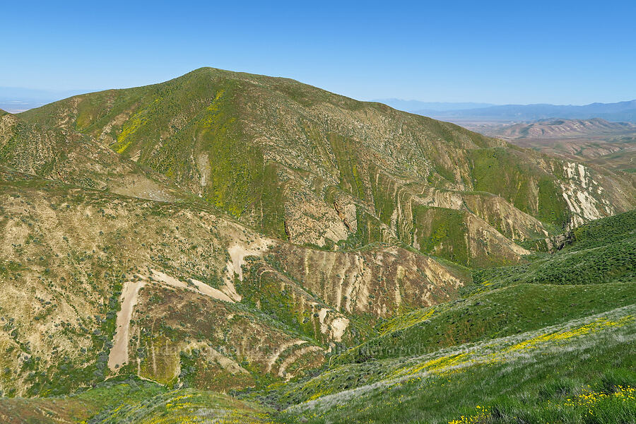 tilted rock layers [Elkhorn Grade Road, Carrizo Plain National Monument, San Luis Obispo County, California]