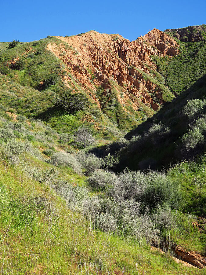 eroded red rock [Padrones Canyon Road, Carrizo Plain National Monument, San Luis Obispo County, California]