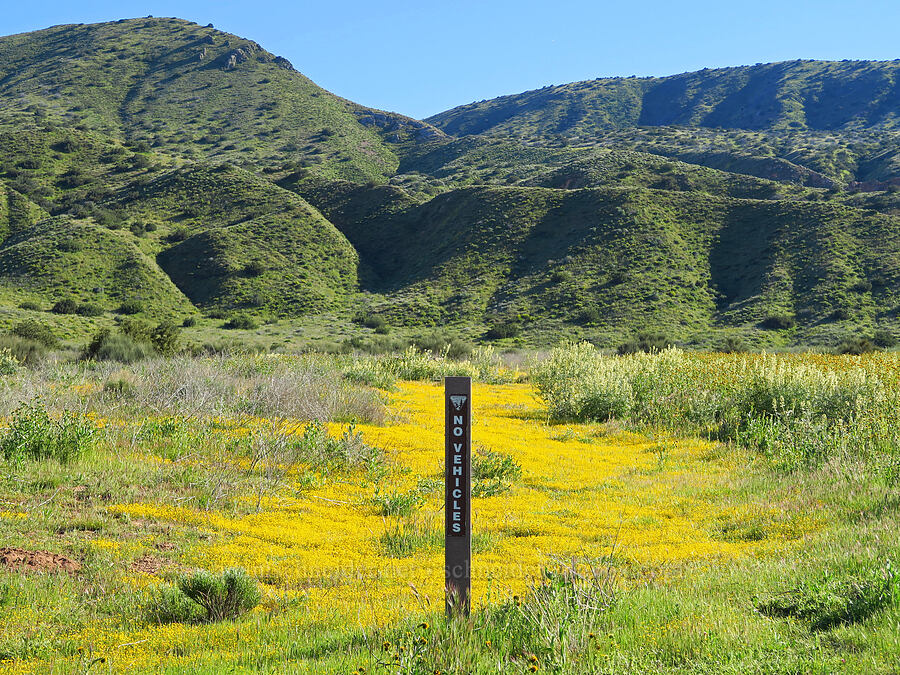 No Vehicles [Padrones Canyon Road, Carrizo Plain National Monument, San Luis Obispo County, California]