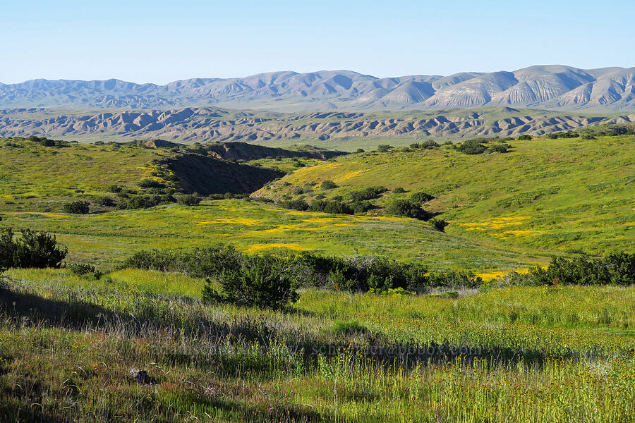 The Middle of Nowhere [Quail Springs Road, Carrizo Plain National Monument, San Luis Obispo County, California]