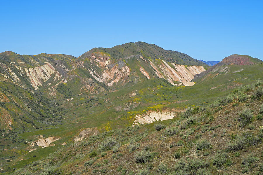 Caliente Range [Quail Springs Road, Carrizo Plain National Monument, San Luis Obispo County, California]