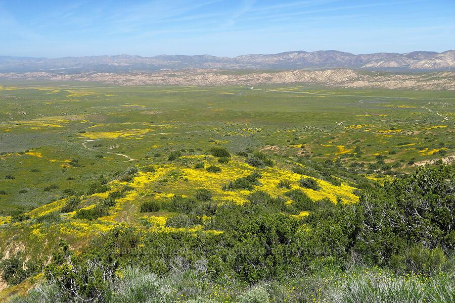 Carrizo Plain [Quail Springs Road, Carrizo Plain National Monument, San Luis Obispo County, California]