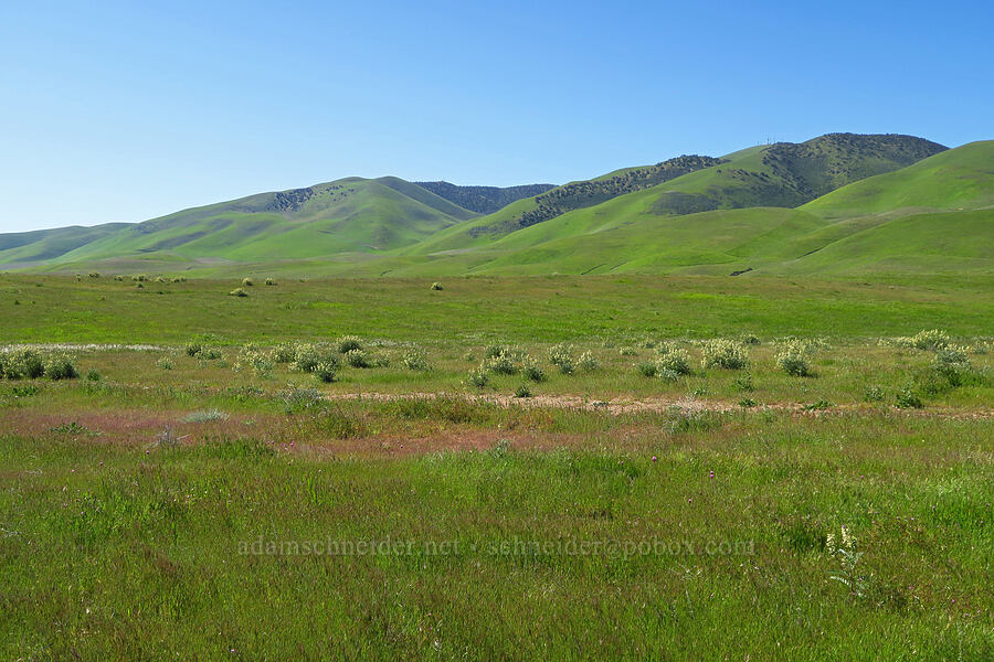 Temblor Range [Highway 58, Kern County, California]