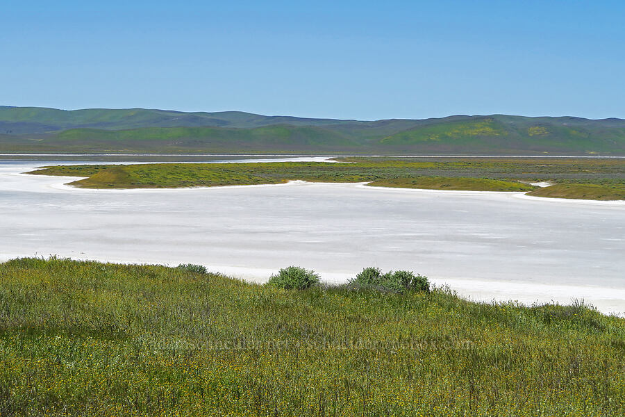 Soda Lake [Simmler Road, Carrizo Plain National Monument, San Luis Obispo County, California]