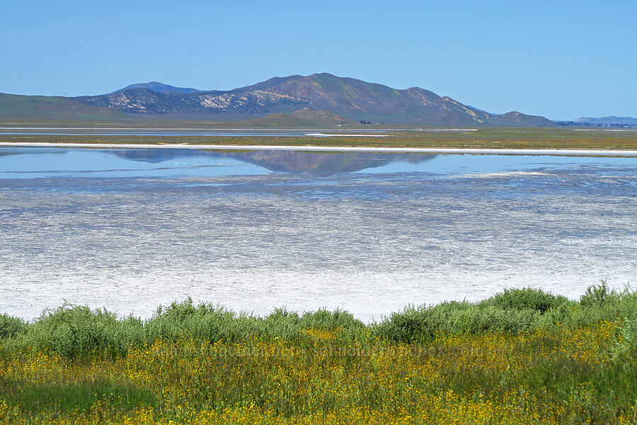 Soda Lake & Peak 2819 [Simmler Road, Carrizo Plain National Monument, San Luis Obispo County, California]