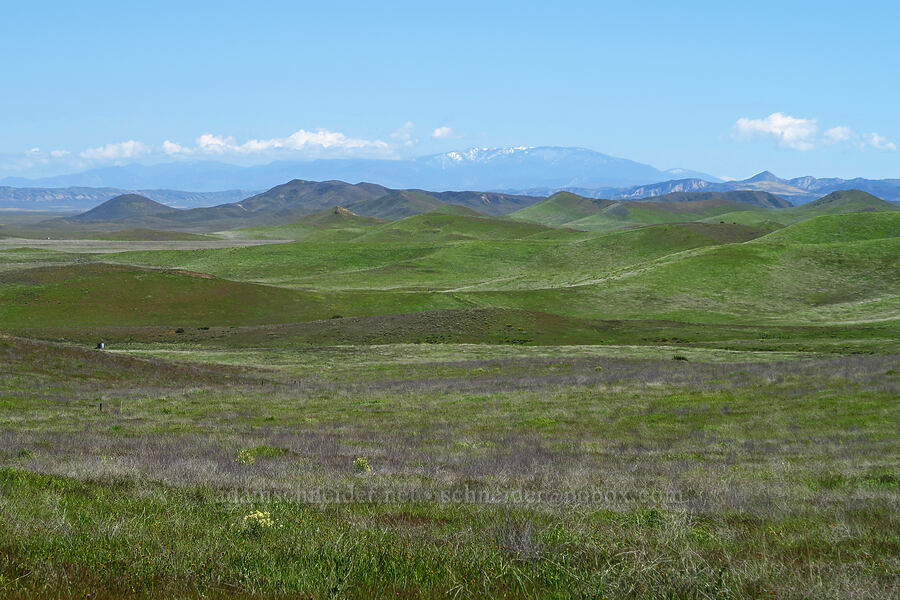 view to the east [Selby Road, Carrizo Plain National Monument, San Luis Obispo County, California]