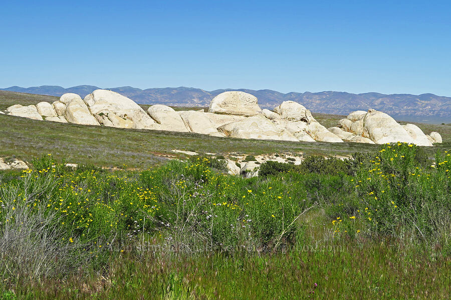 Selby Rocks [Selby Road, Carrizo Plain National Monument, San Luis Obispo County, California]