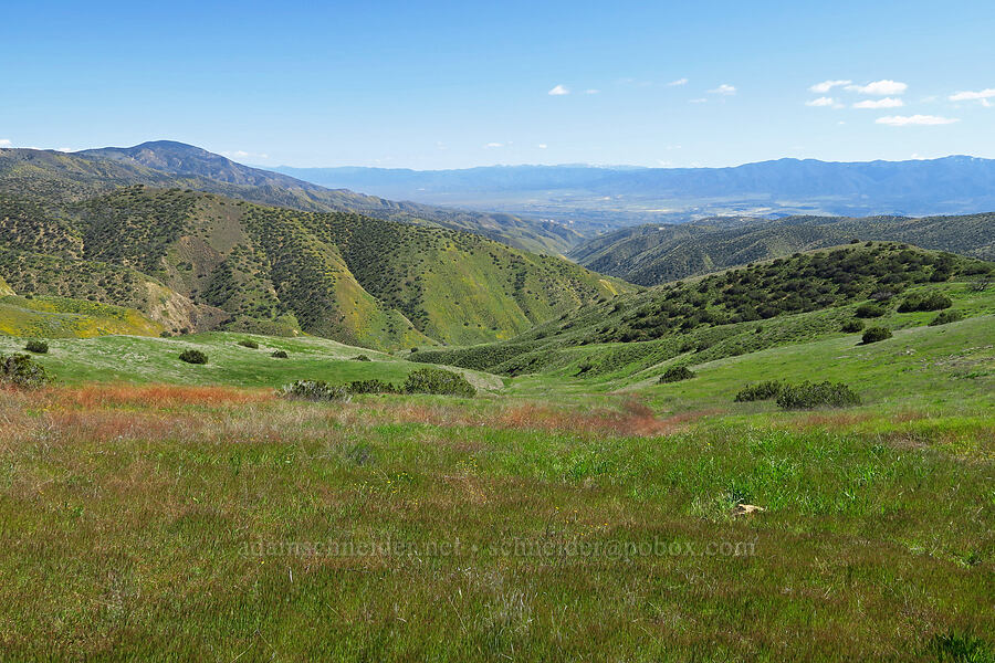 view to the south [Caliente Mountain Road, Carrizo Plain National Monument, San Luis Obispo County, California]