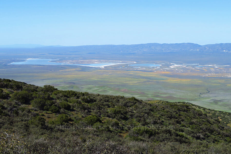 Soda Lake, Carrizo Plain, & the Temblor Range [Caliente Mountain Ridge Trail, Carrizo Plain National Monument, San Luis Obispo County, California]