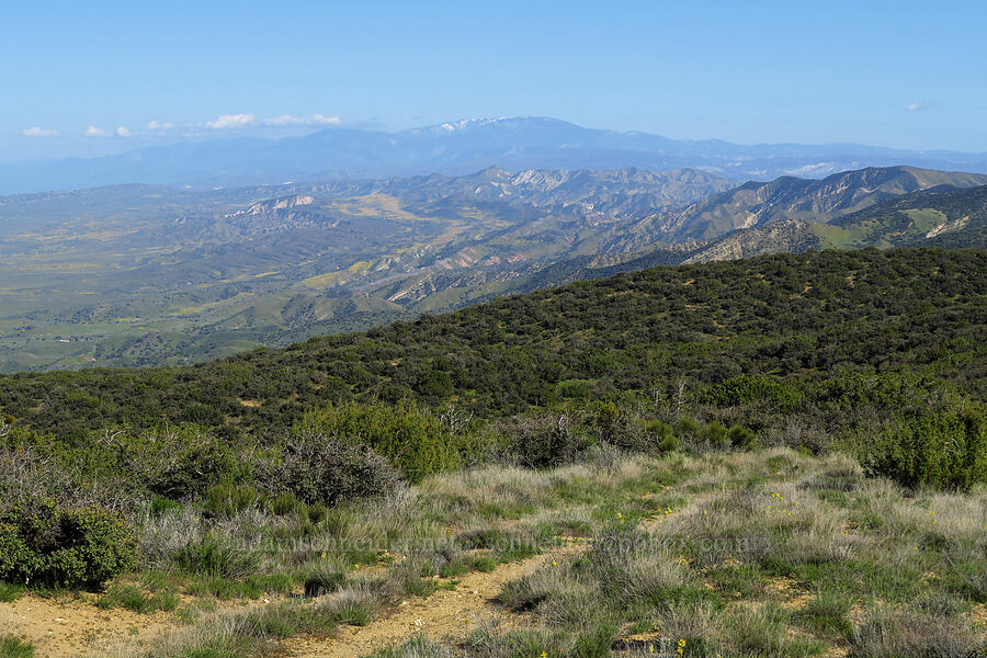 view to the east [Caliente Mountain Ridge Trail, Carrizo Plain National Monument, San Luis Obispo County, California]