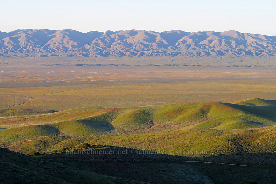 Carrizo Plain & the Temblor Range [Caliente Mountain Road, Carrizo Plain National Monument, San Luis Obispo County, California]