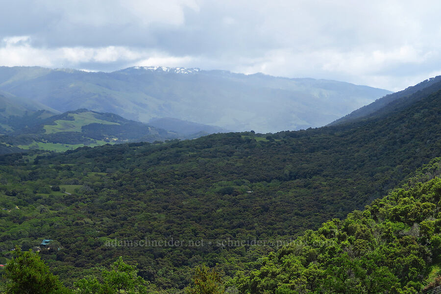 snow on the Sierra de Salinas [Cachagua Road, Monterey County, California]