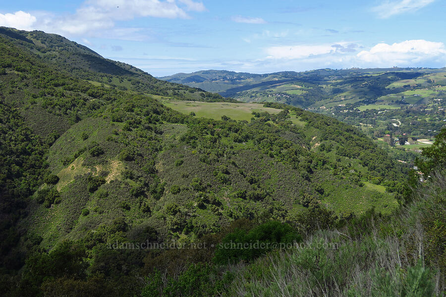 Garland Ranch Mesa [Veeder Trail, Garland Ranch Regional Park, Monterey County, California]