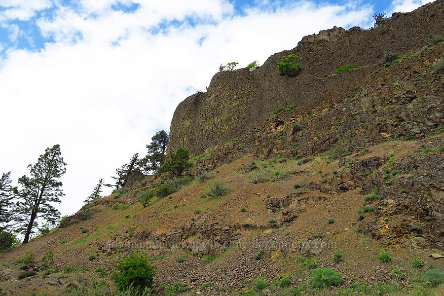 basalt cliffs [Historic Columbia River Highway State Trail, Hood River County, Oregon]