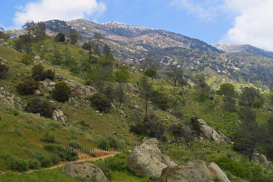 Mill Creek Canyon & Lightner Peak [Mill Creek Trail, Sequoia National Forest, Kern County, California]