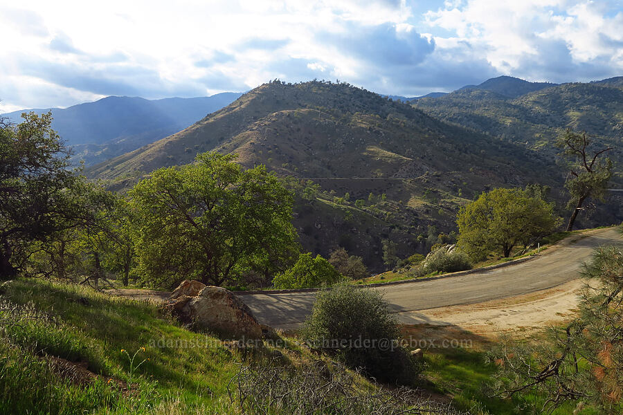 afternoon light [Kern Canyon Road, Sequoia National Forest, Kern County, California]