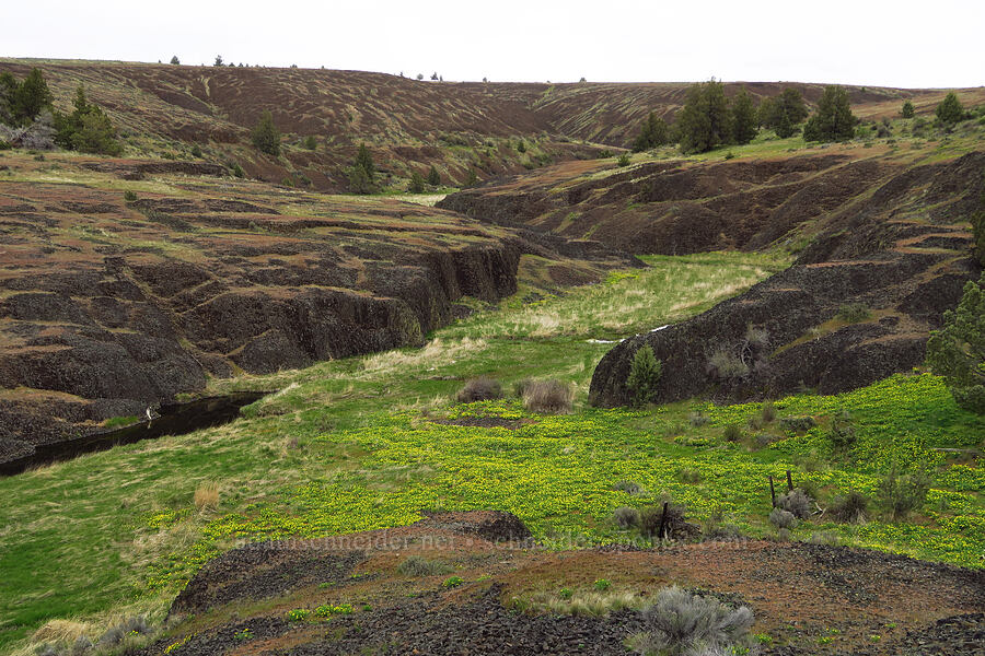 Ward Creek [Lawrence Memorial Grassland Preserve, Wasco County, Oregon]