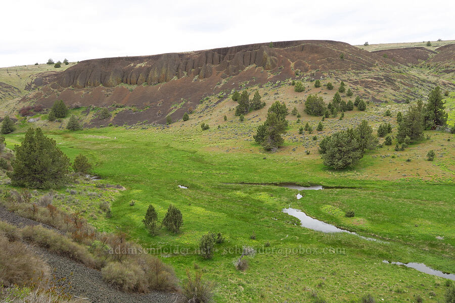 Ward Creek [Lawrence Memorial Grassland Preserve, Wasco County, Oregon]