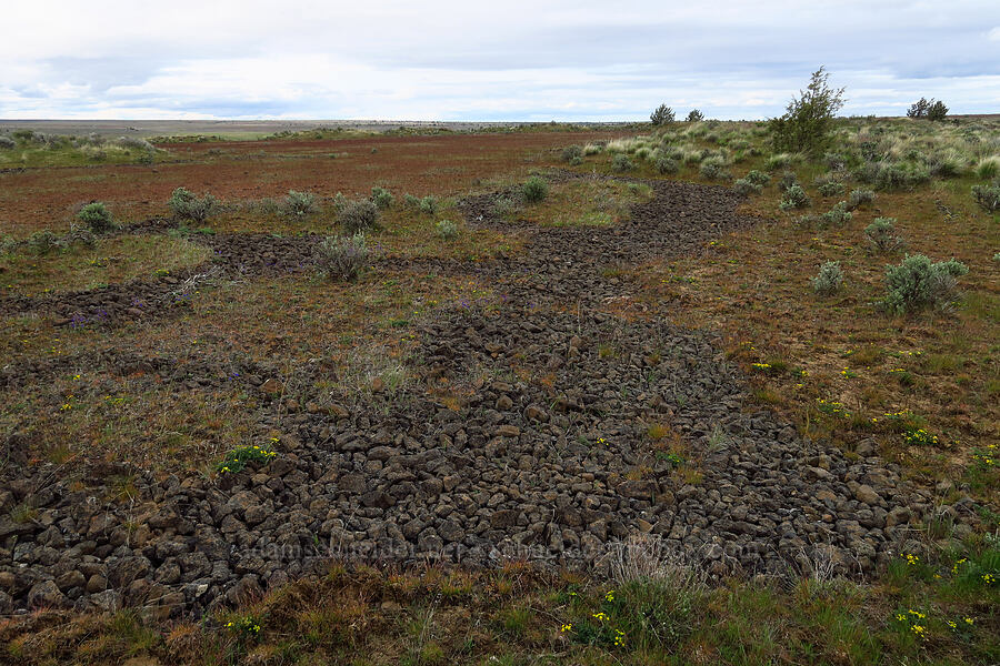 rock runnels [Rooper Road, Wasco County, Oregon]