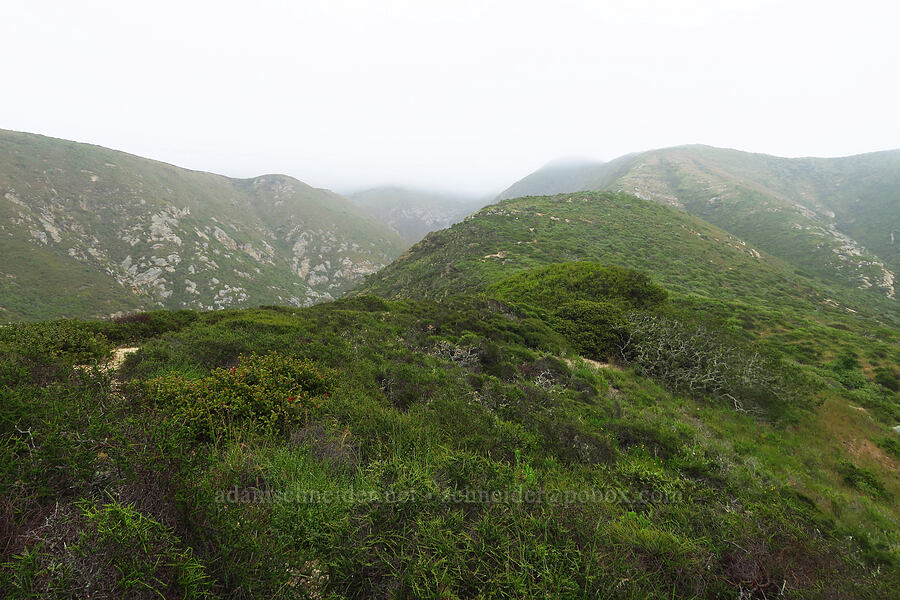 Valencia Peak, in the clouds [below Valencia Peak, Montaña de Oro State Park, San Luis Obispo County, California]