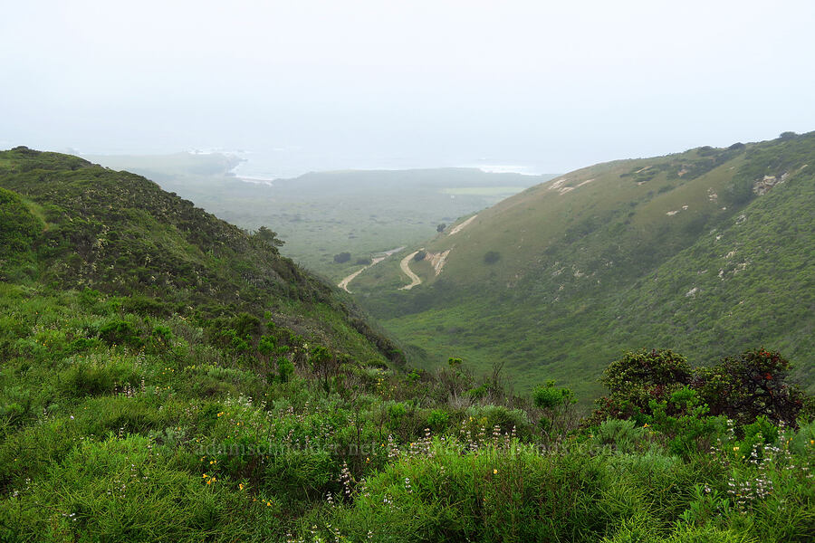 view toward the ocean [below Valencia Peak, Montaña de Oro State Park, San Luis Obispo County, California]