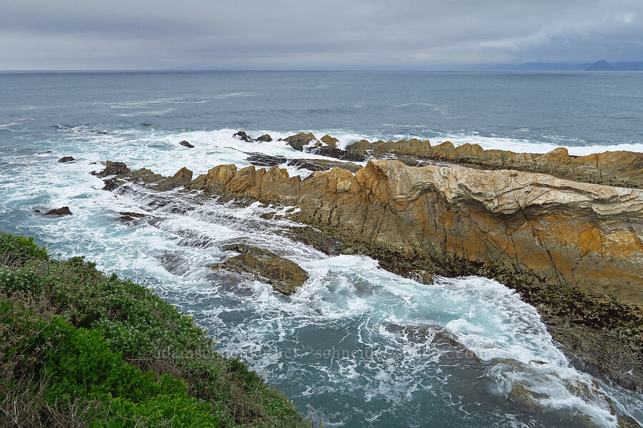 sandstone fins [Bluff Trail, Montaña de Oro State Park, San Luis Obispo County, California]