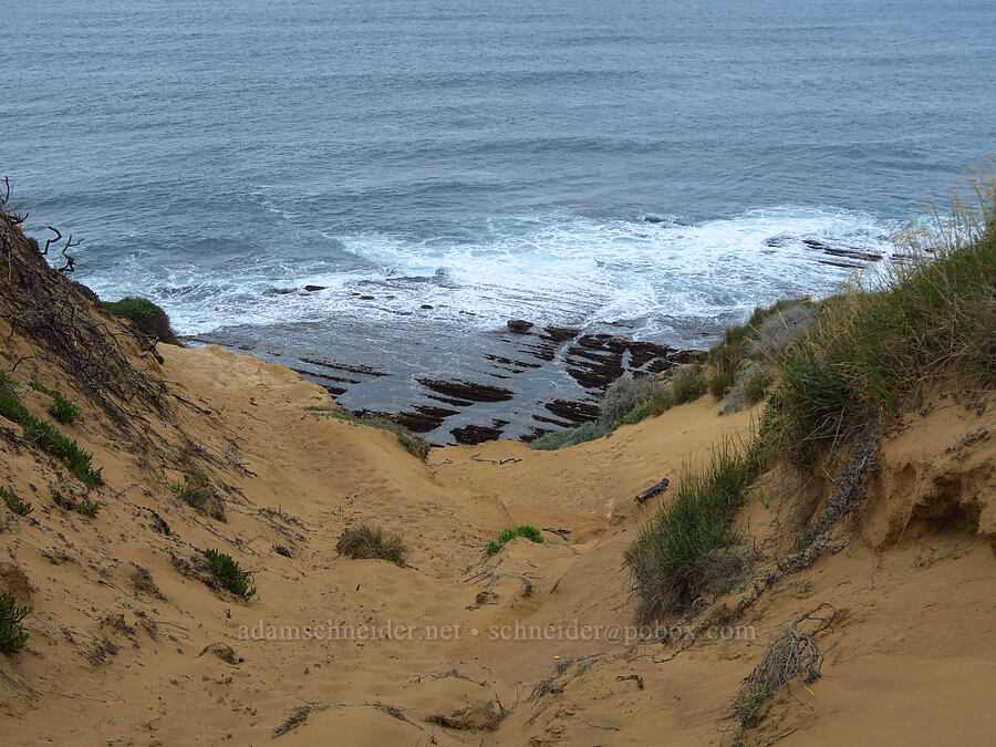 sand dune slope [near Hazard Reef, Montaña de Oro State Park, San Luis Obispo County, California]