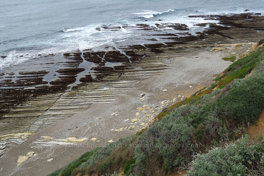 rocky reef [near Hazard Reef, Montaña de Oro State Park, San Luis Obispo County, California]