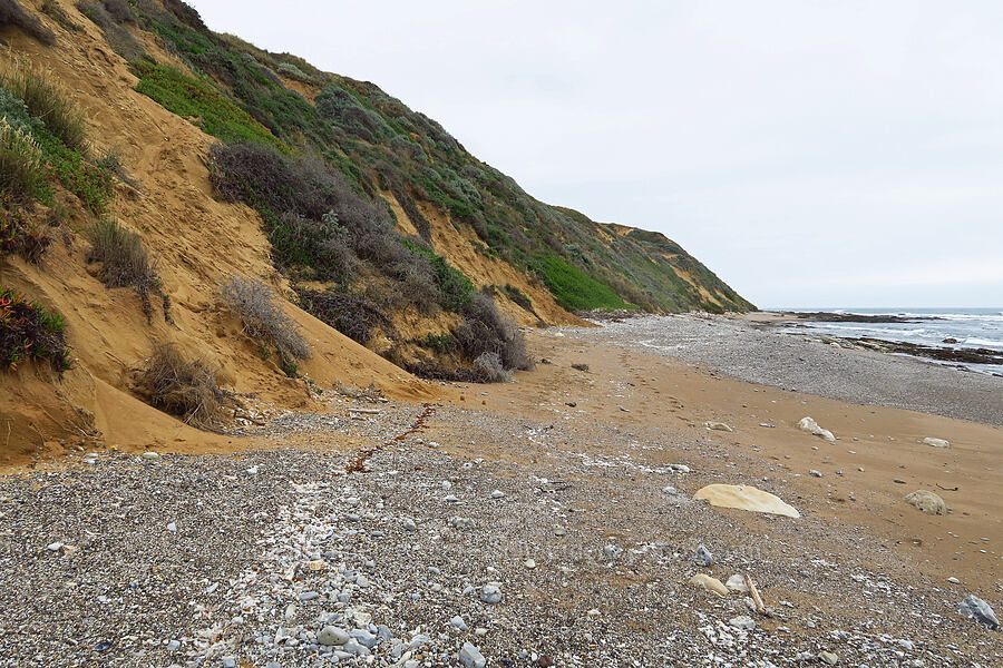 sand dune shore [near Hazard Reef, Montaña de Oro State Park, San Luis Obispo County, California]