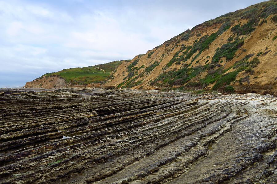 rocky reef [near Hazard Reef, Montaña de Oro State Park, San Luis Obispo County, California]