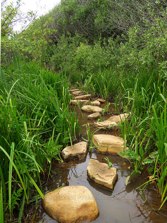 stepping-stone trail [Hazard Canyon, Montaña de Oro State Park, San Luis Obispo County, California]