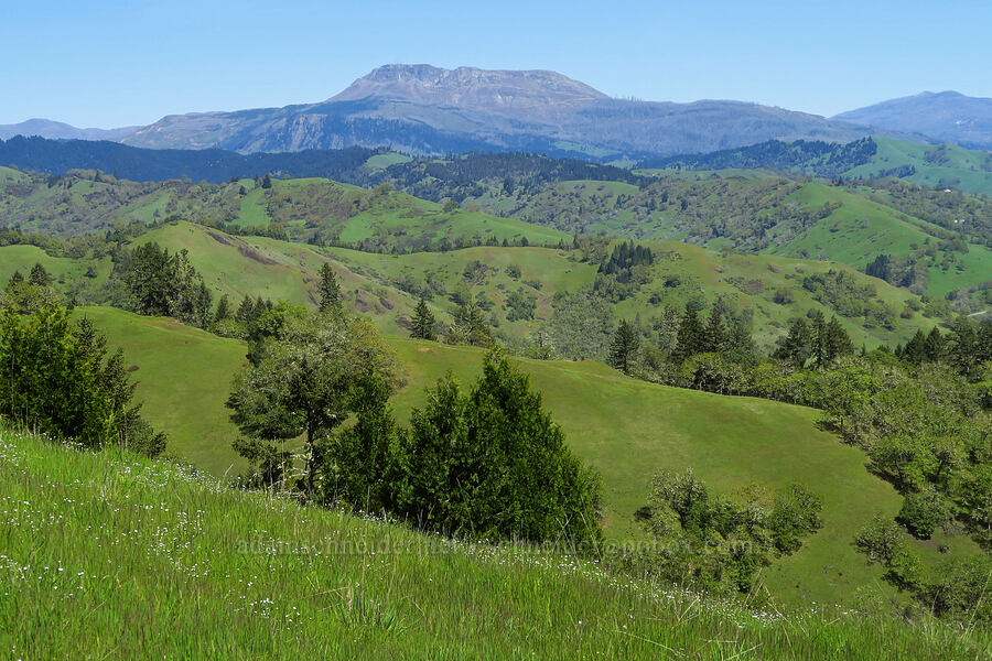 Scott Mountain [North Bank Habitat Management Area, Douglas County, Oregon]