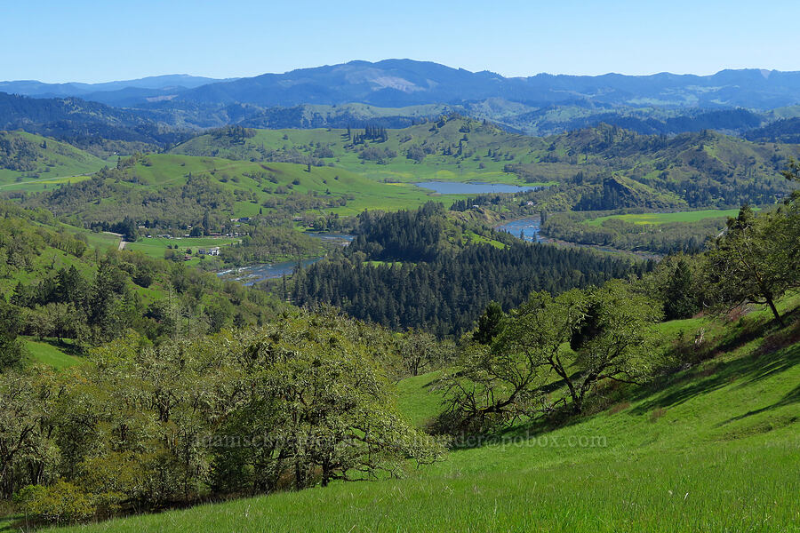 view over Whistler's Bend [North Bank Habitat Management Area, Douglas County, Oregon]