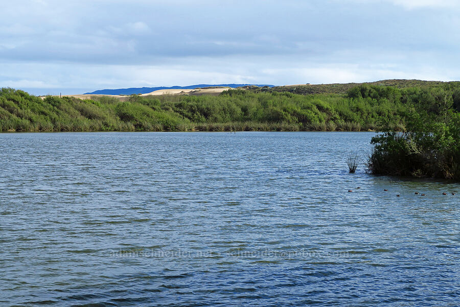 Oso Flaco Lake [Oso Flaco Lake, San Luis Obispo County, California]