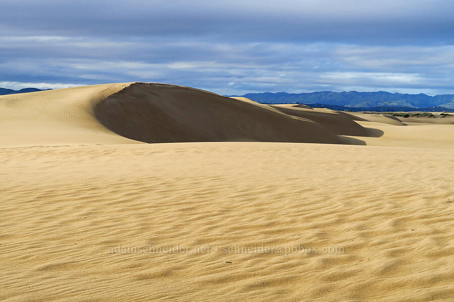 sand dunes [Oceano Dunes, San Luis Obispo County, California]