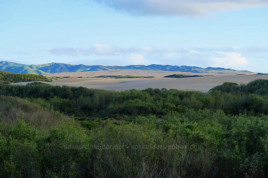 sand dunes & Casmalia Hills [Oceano Dunes, San Luis Obispo County, California]