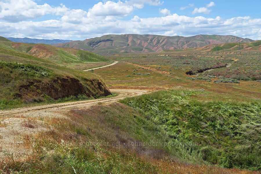 Panoche Hills [Panoche Hills, Fresno County, California]