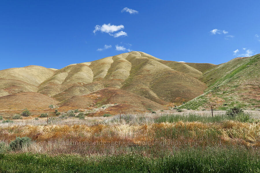 Panoche Hills [Panoche Hills, Fresno County, California]