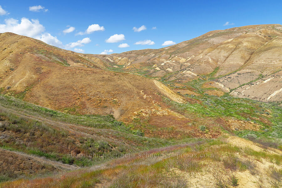 Panoche Hills [Panoche Hills, Fresno County, California]