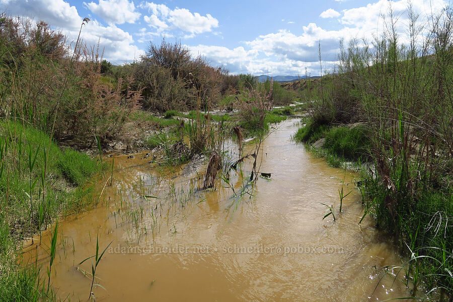 Panoche Creek [Panoche Hills, Fresno County, California]