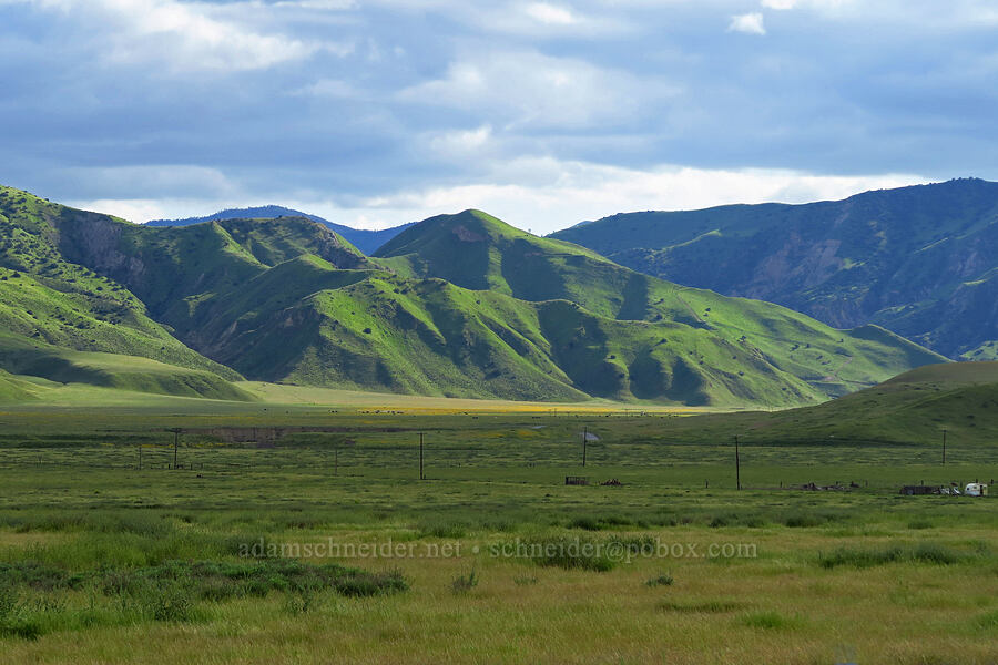 Griswold Hills [Panoche Road, San Benito County, California]