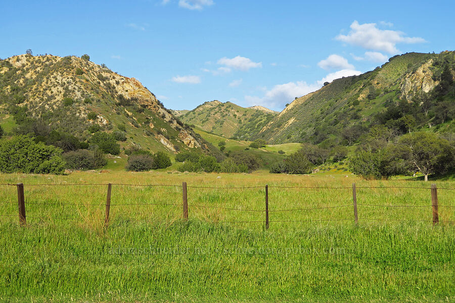 Union Canyon [Griswold Canyon, San Benito County, California]