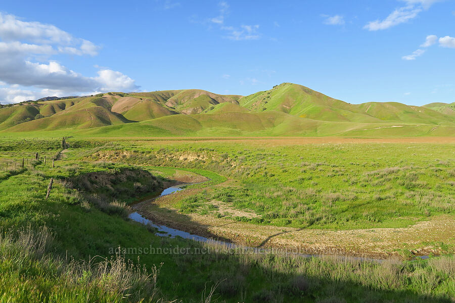 Griswold Hills & Vallecitos Creek [Griswold Canyon, San Benito County, California]