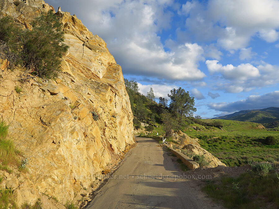 sandstone [Griswold Canyon, San Benito County, California]