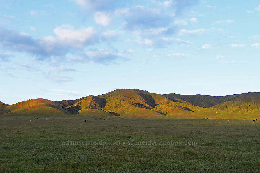 Glaucophane Ridge [Little Panoche Road, San Benito County, California]