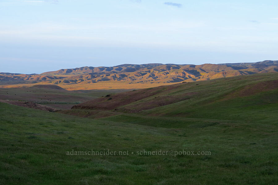 Panoche Hills [Little Panoche Road, San Benito County, California]