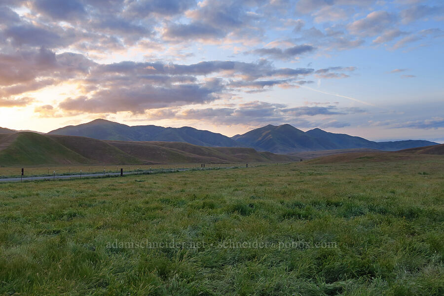 Ortigalita Ridge [Little Panoche Road, Fresno County, California]