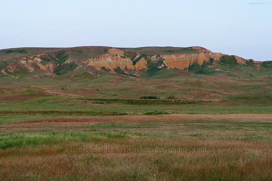 Panoche Hills [Little Panoche Road, Fresno County, California]