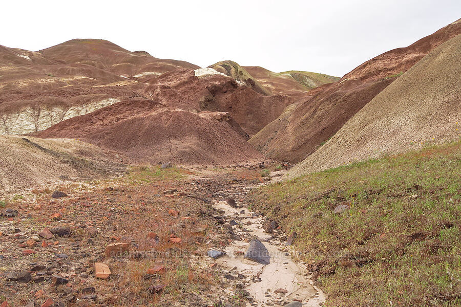 claystone hills [near Sorefoot Creek, Wasco County, Oregon]